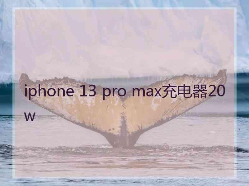 iphone 13 pro max充电器20w