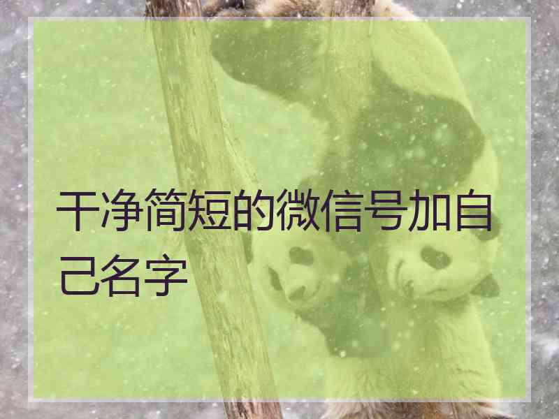 干净简短的微信号加自己名字