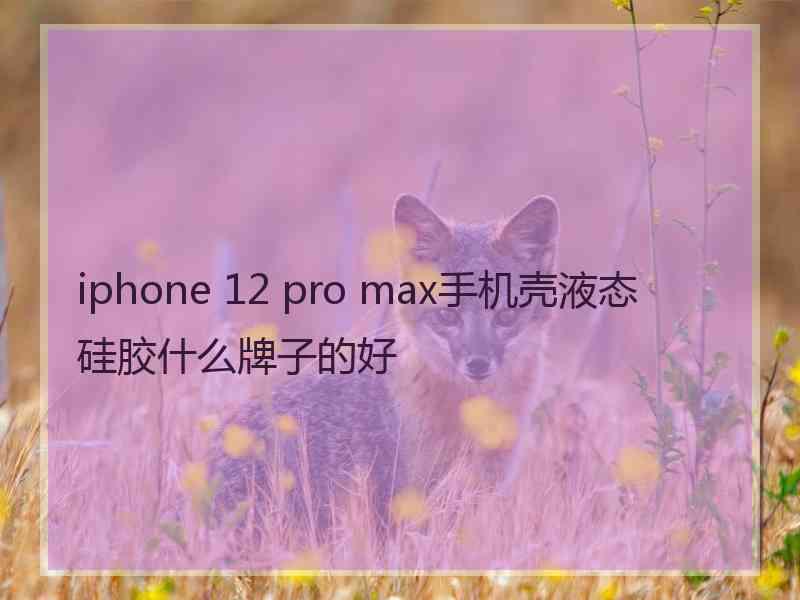 iphone 12 pro max手机壳液态硅胶什么牌子的好