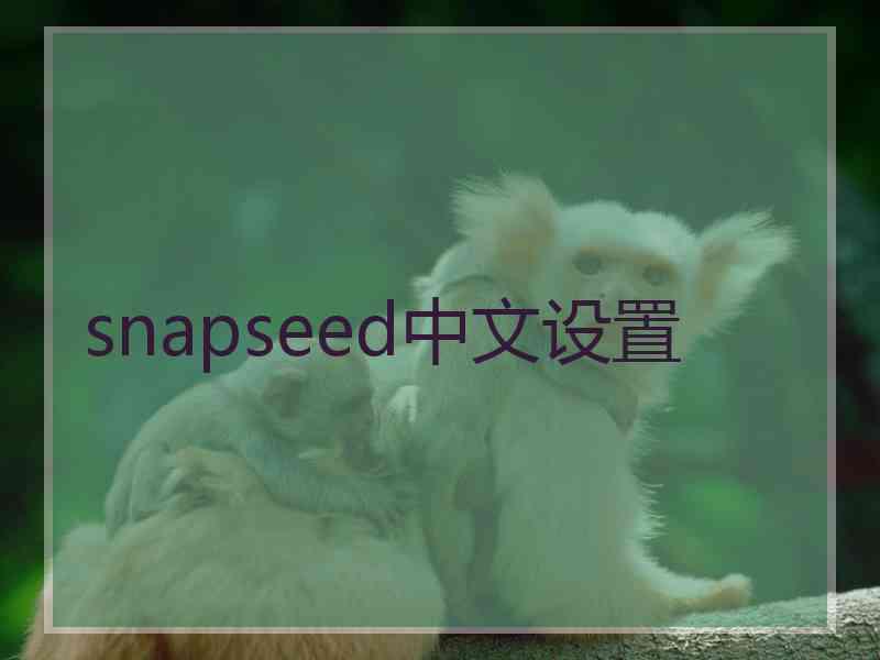 snapseed中文设置