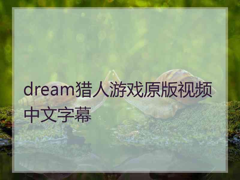 dream猎人游戏原版视频中文字幕