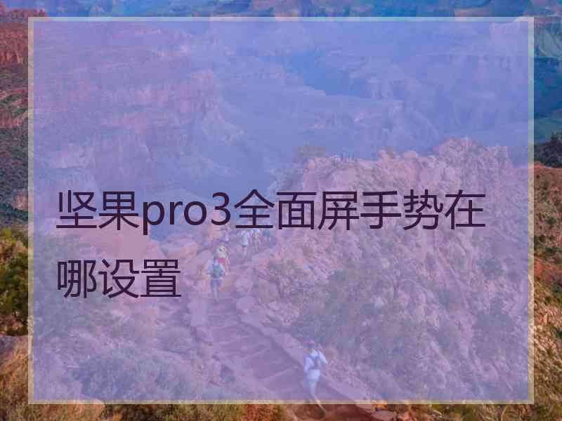 坚果pro3全面屏手势在哪设置