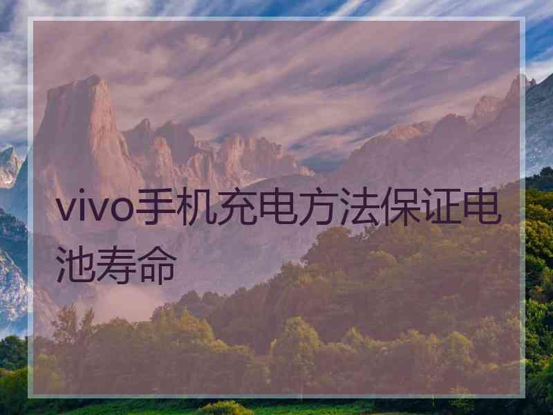 vivo手机充电方法保证电池寿命