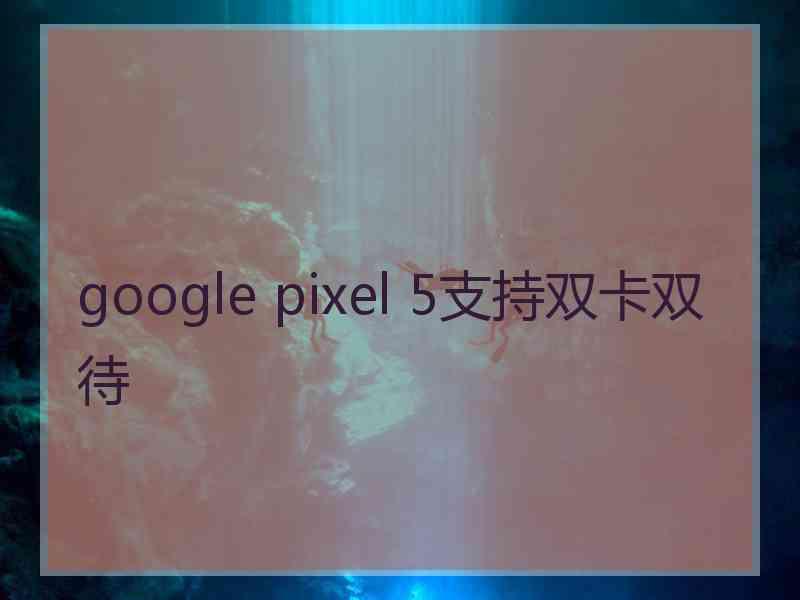 google pixel 5支持双卡双待