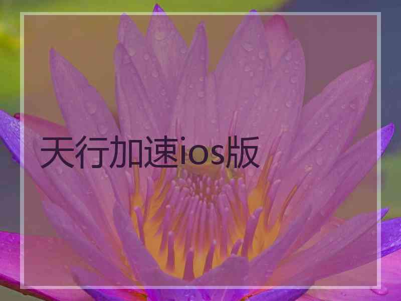 天行加速ios版