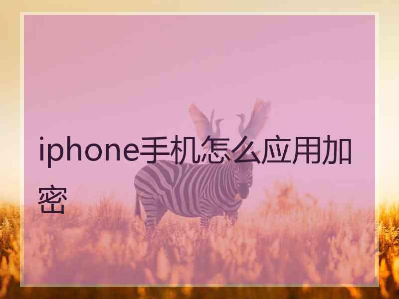 iphone手机怎么应用加密