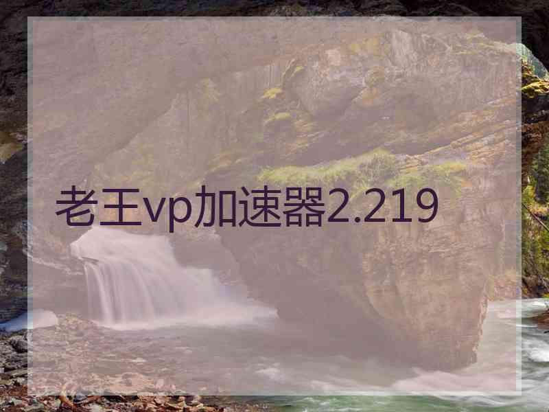 老王vp加速器2.219