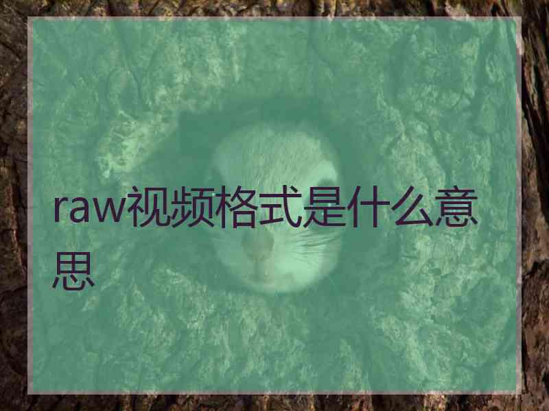 raw视频格式是什么意思