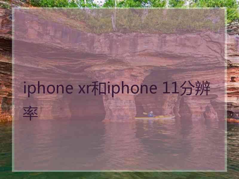 iphone xr和iphone 11分辨率