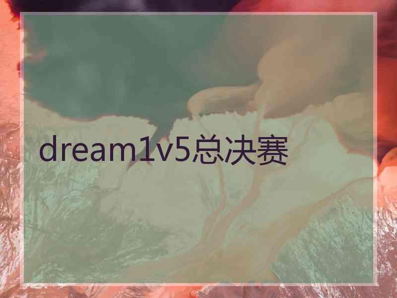 dream1v5总决赛