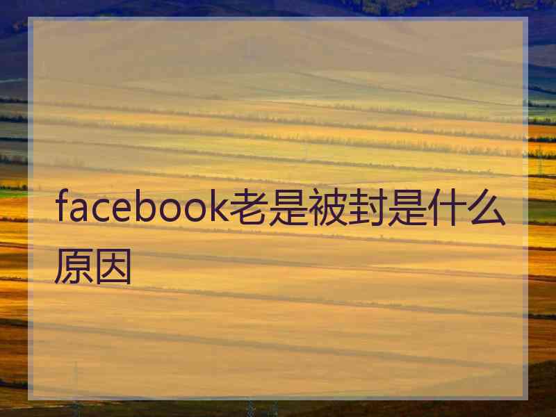 facebook老是被封是什么原因