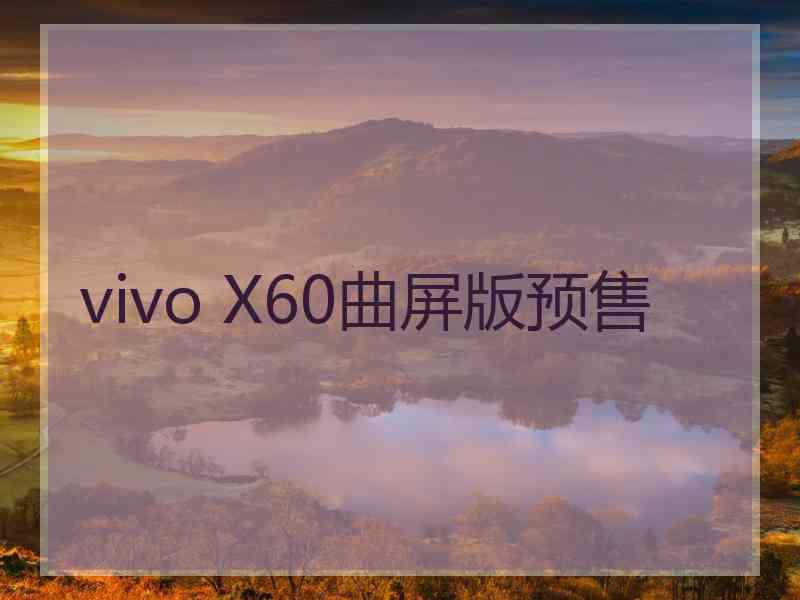 vivo X60曲屏版预售