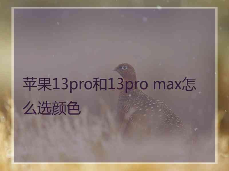 苹果13pro和13pro max怎么选颜色