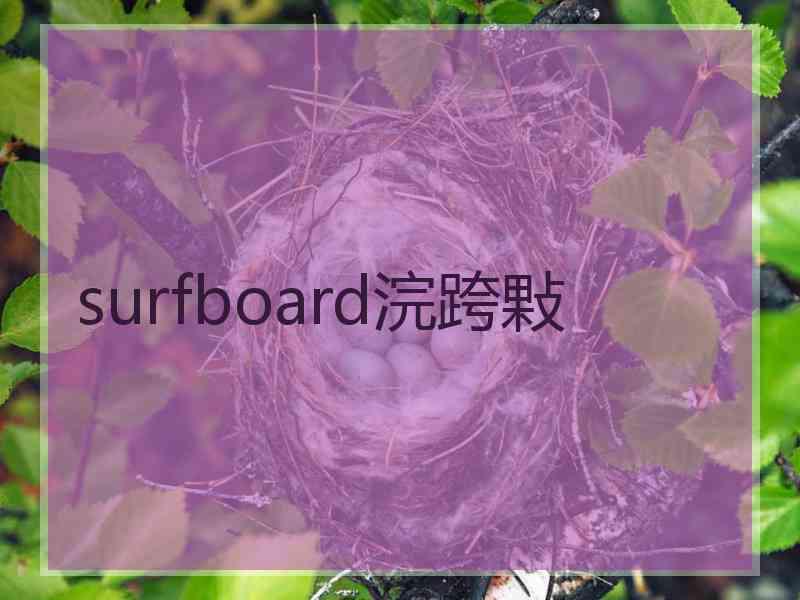 surfboard浣跨敤