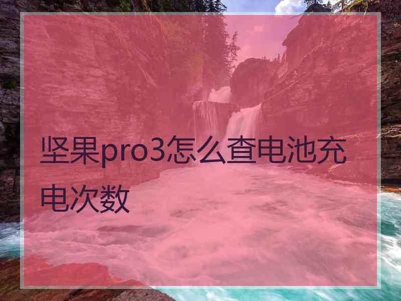 坚果pro3怎么查电池充电次数