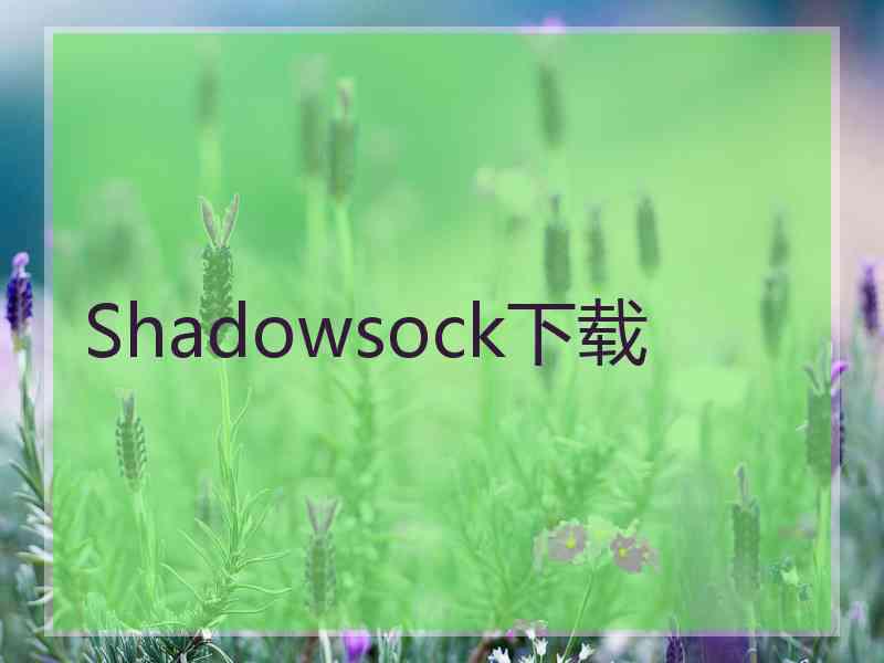 Shadowsock下载