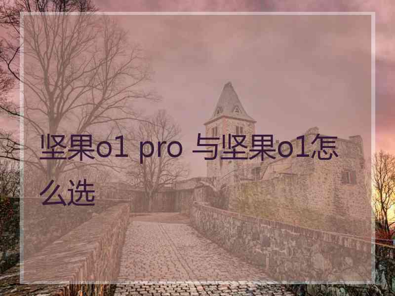 坚果o1 pro 与坚果o1怎么选