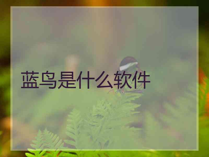 蓝鸟是什么软件