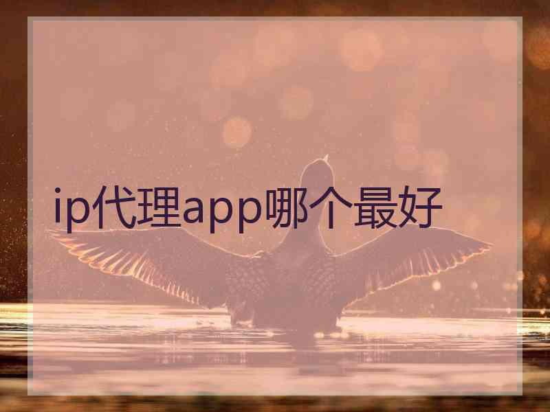 ip代理app哪个最好