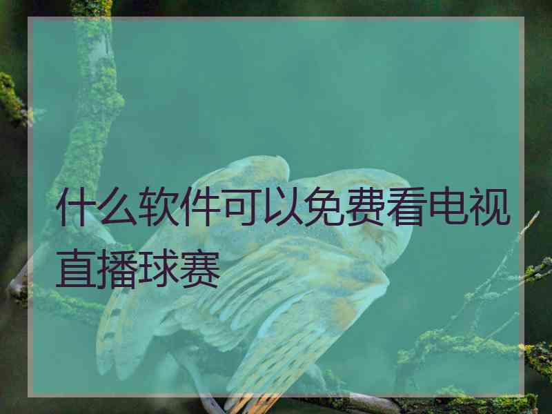 什么软件可以免费看电视直播球赛