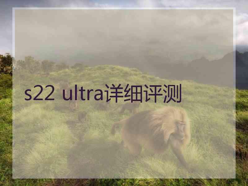 s22 ultra详细评测