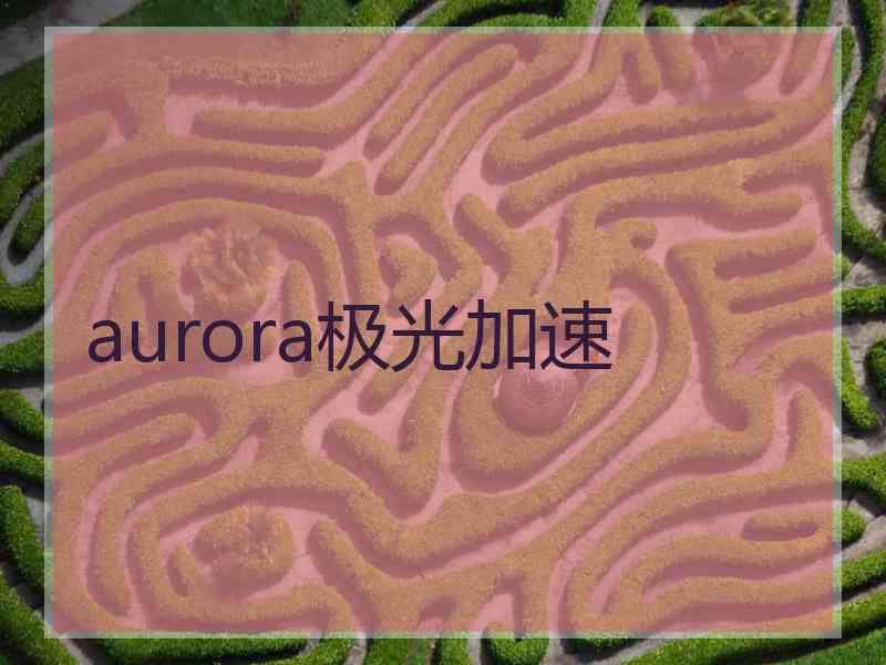 aurora极光加速