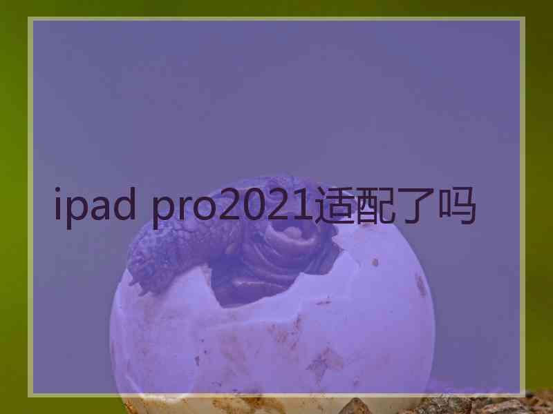 ipad pro2021适配了吗