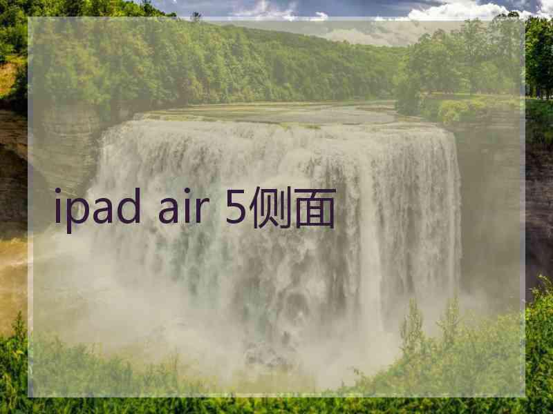 ipad air 5侧面