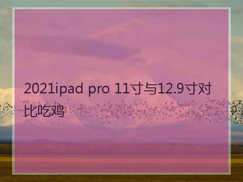 2021ipad pro 11寸与12.9寸对比吃鸡