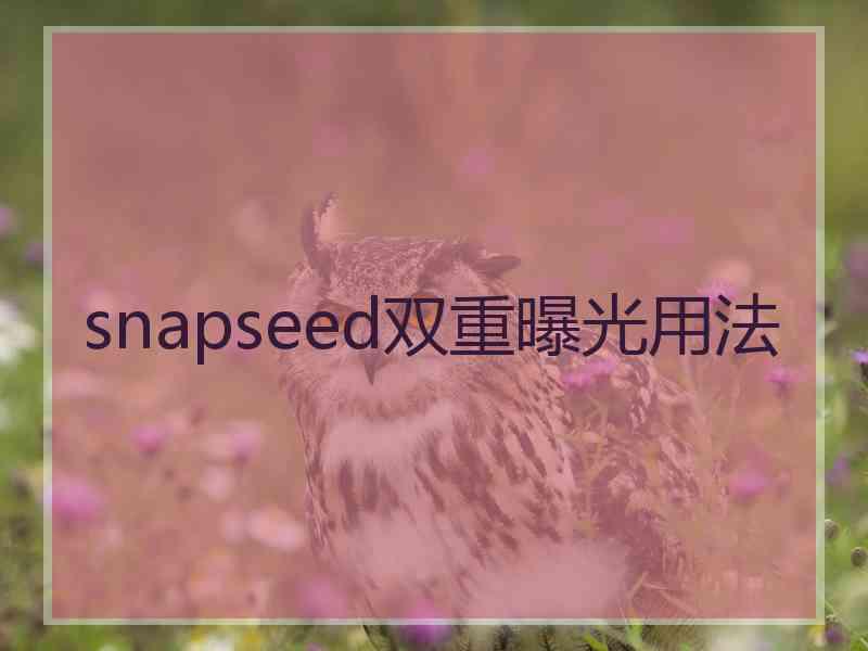 snapseed双重曝光用法