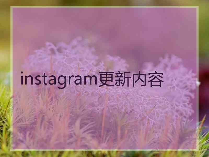 instagram更新内容