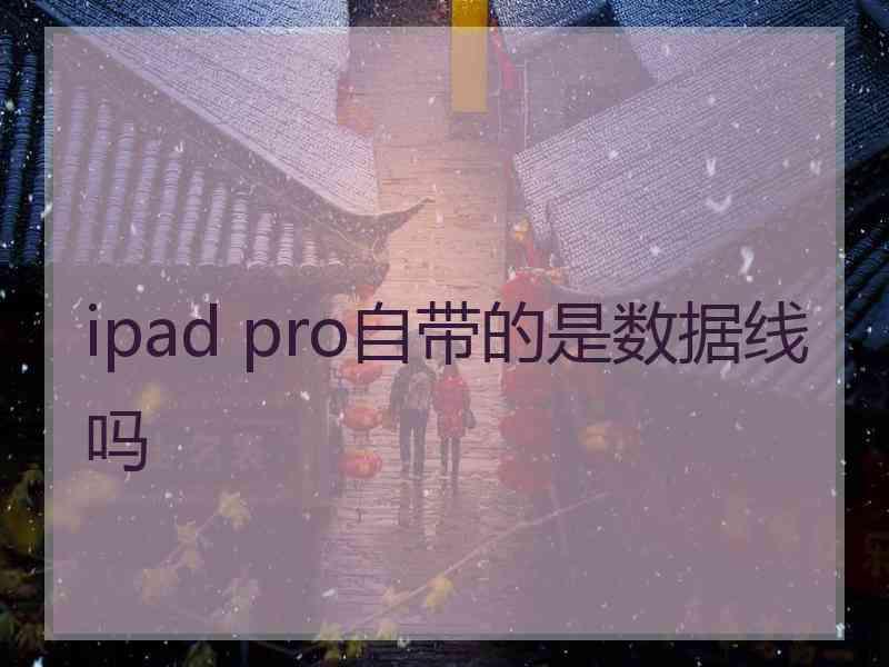 ipad pro自带的是数据线吗