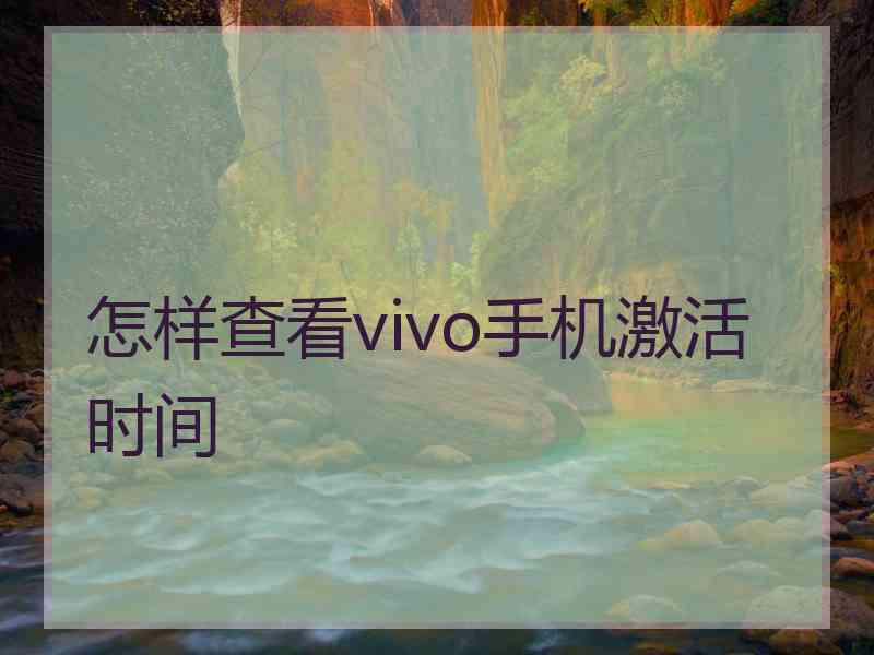 怎样查看vivo手机激活时间