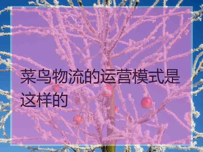 菜鸟物流的运营模式是这样的