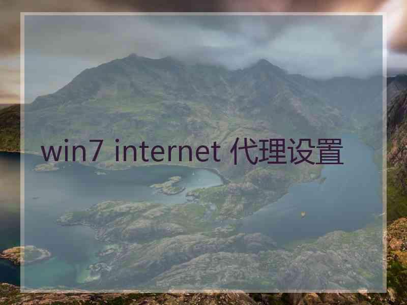 win7 internet 代理设置