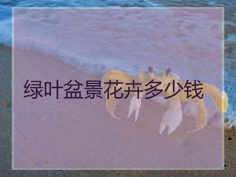 绿叶盆景花卉多少钱