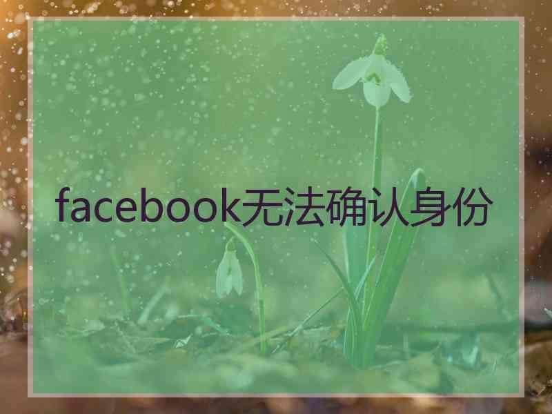 facebook无法确认身份