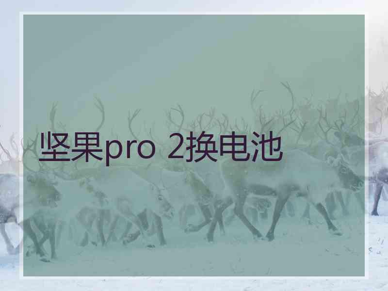 坚果pro 2换电池