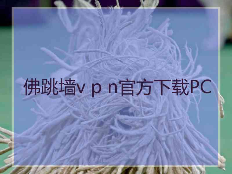 佛跳墙v p n官方下载PC