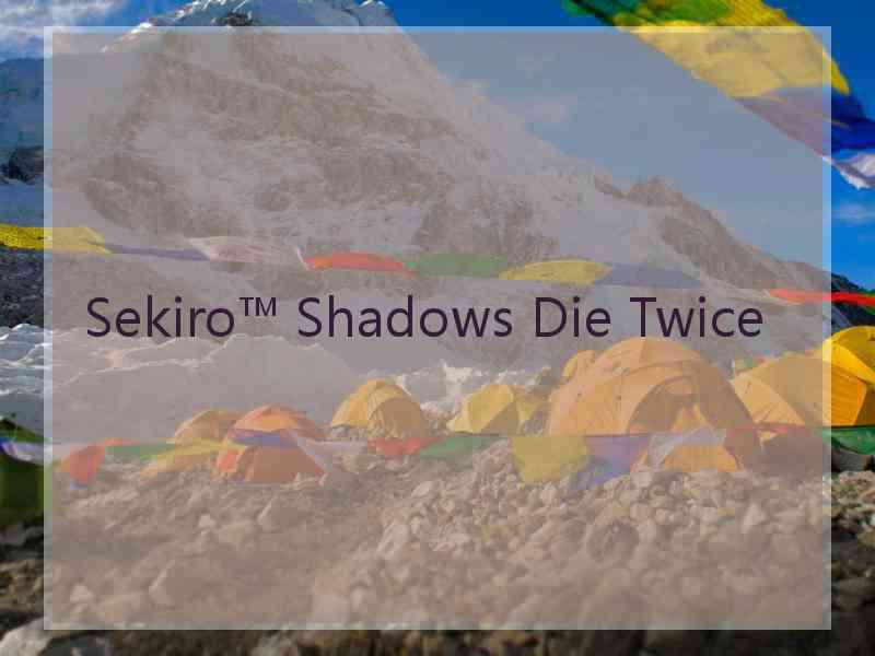 Sekiro™ Shadows Die Twice