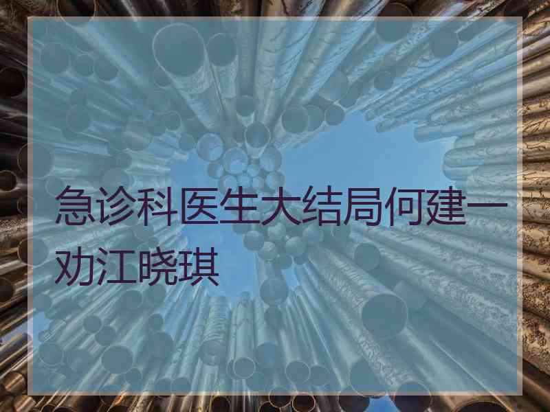 急诊科医生大结局何建一劝江晓琪