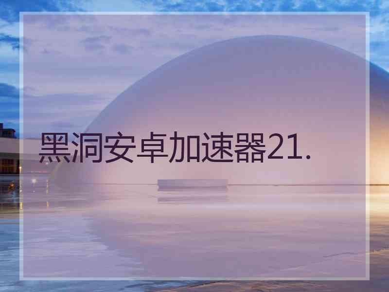 黑洞安卓加速器21.