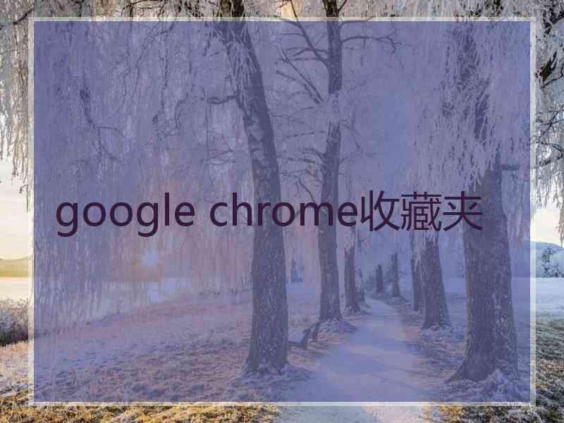 google chrome收藏夹