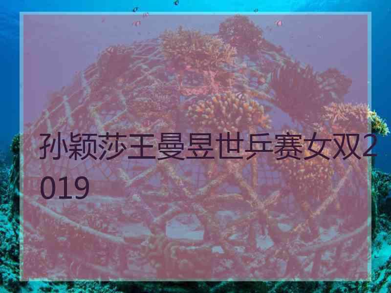 孙颖莎王曼昱世乒赛女双2019