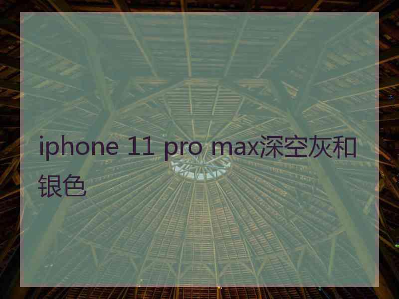 iphone 11 pro max深空灰和银色