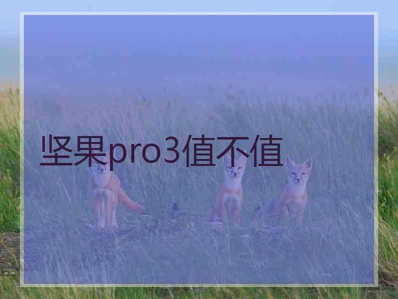 坚果pro3值不值