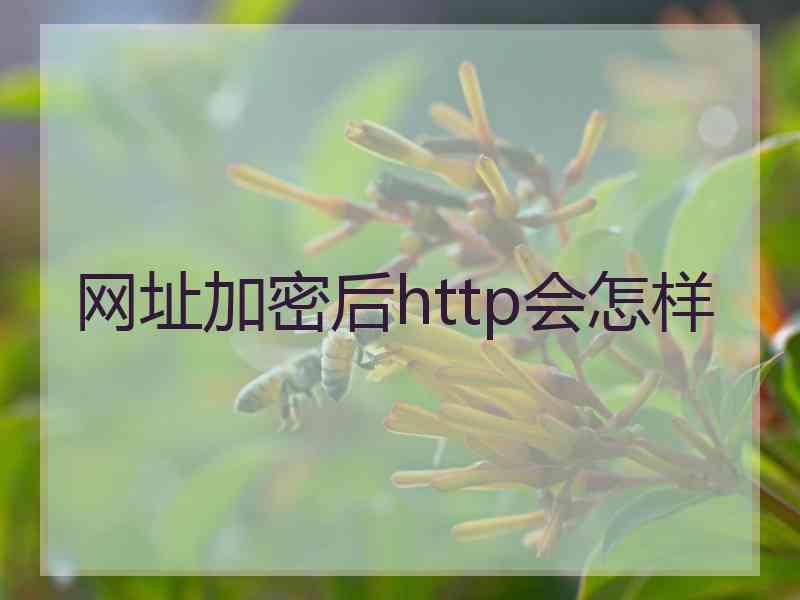 网址加密后http会怎样