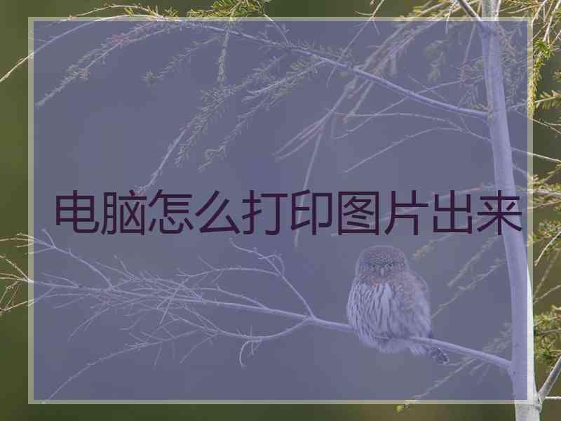 电脑怎么打印图片出来