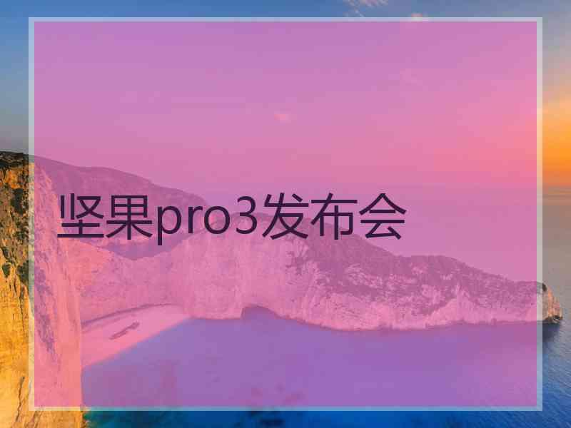 坚果pro3发布会