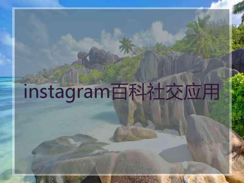 instagram百科社交应用